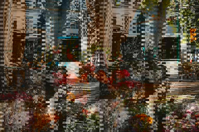 Vendite record per il mercato dei fiori: triplicati i clienti nelle ultime settimane di primavera